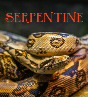 Serpentine